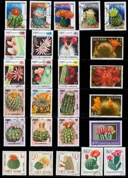 Лот 50бр кактус Ботаника Тема Оригинални марки с пощенска марка No Repeat Nation Stamp Добро състояние