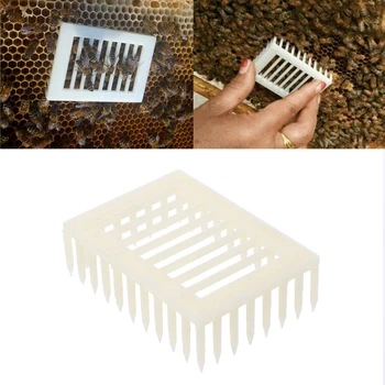 Клетки Система за отглеждане на пчелни птици Пчеларско оборудване Пчеларство Изящна изработка Лесна за използване Чиста изработка
